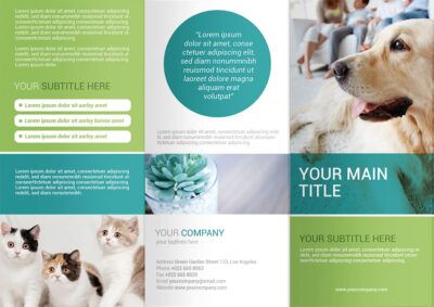 表紙／ウラ表紙