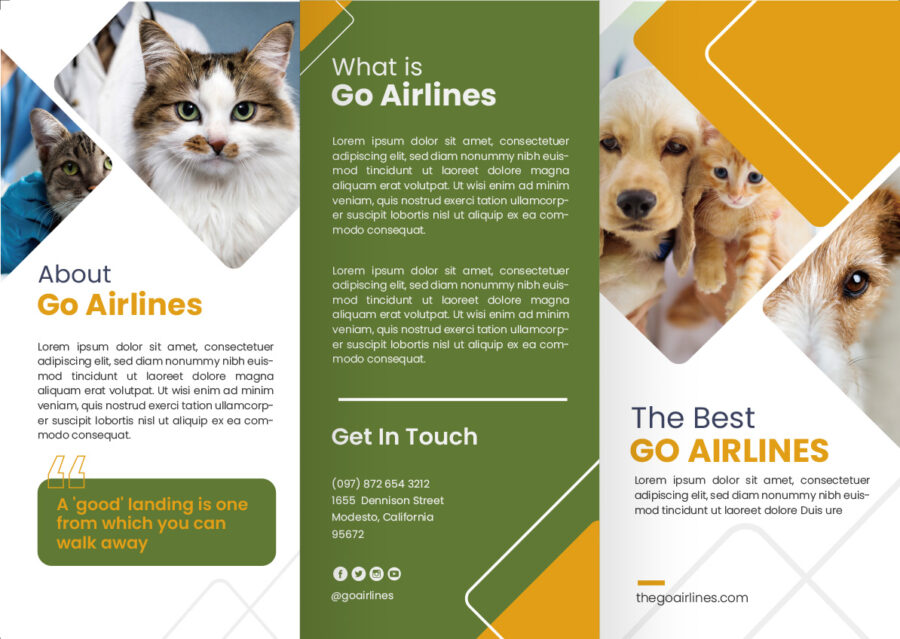 表紙／ウラ表紙