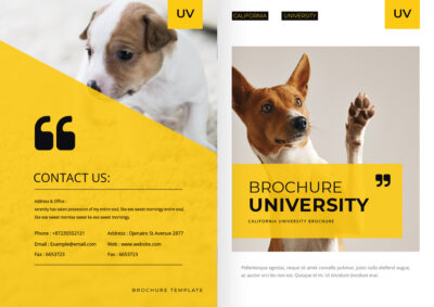 表紙／ウラ表紙