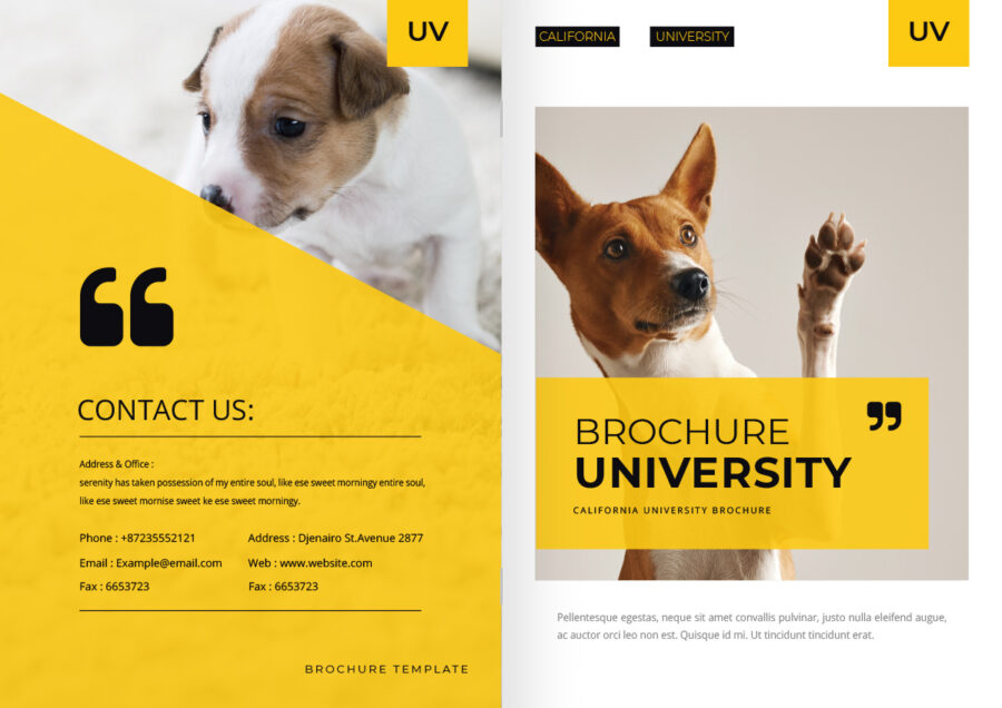 表紙／ウラ表紙