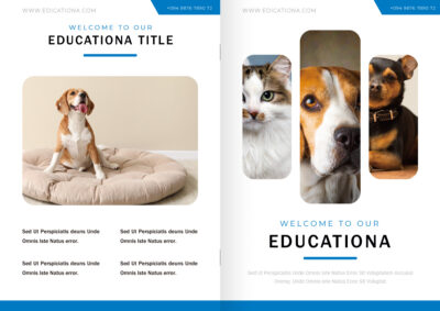 表紙／ウラ表紙