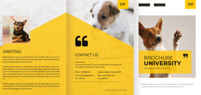 表紙／ウラ表紙