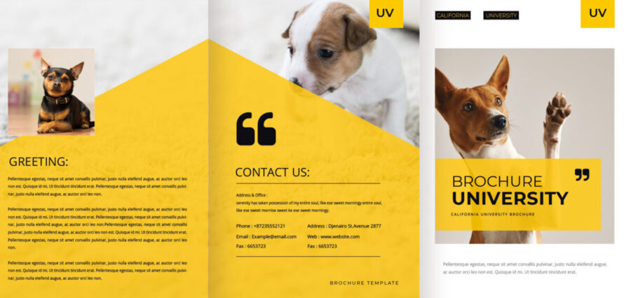 表紙／ウラ表紙