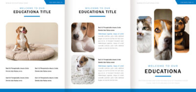 表紙／ウラ表紙