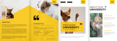 表紙／ウラ表紙