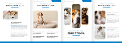 表紙／ウラ表紙