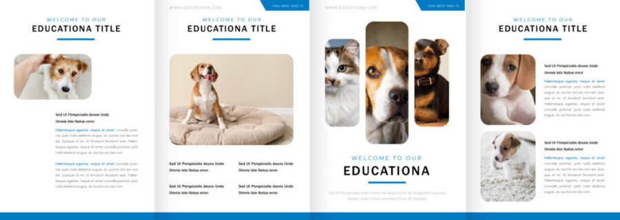 表紙／ウラ表紙