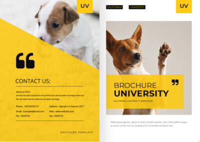 表紙／ウラ表紙